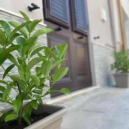 Casa Cinisi